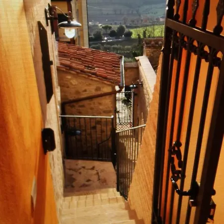 Diana House Ripa
