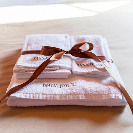 Diana House Bed and breakfast