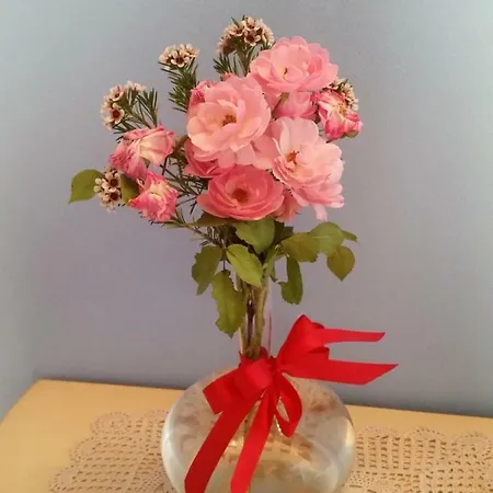 Couette-café Diana House 3*