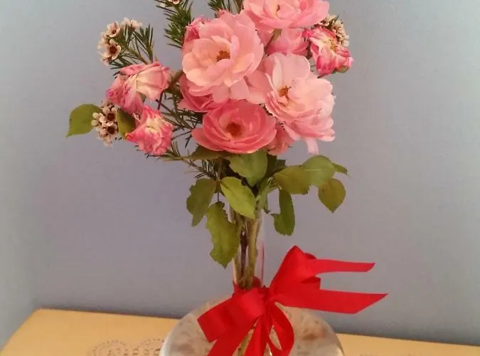 Bed & Breakfast Diana House 3*